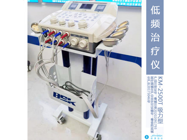 深圳低频治疗仪 厂家百士康 生产基地发货 说明