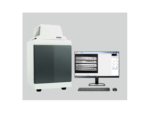 全自动化学发光免疫分析仪H200