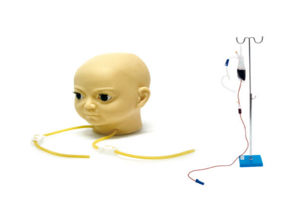 高级硅胶儿童头皮静脉注射穿刺训练模型 KAS-T4