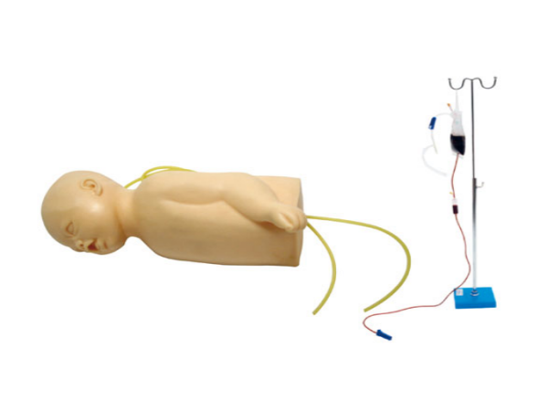 高级硅胶婴儿头部及手臂静脉注射穿刺训练模型 KAS-T3
