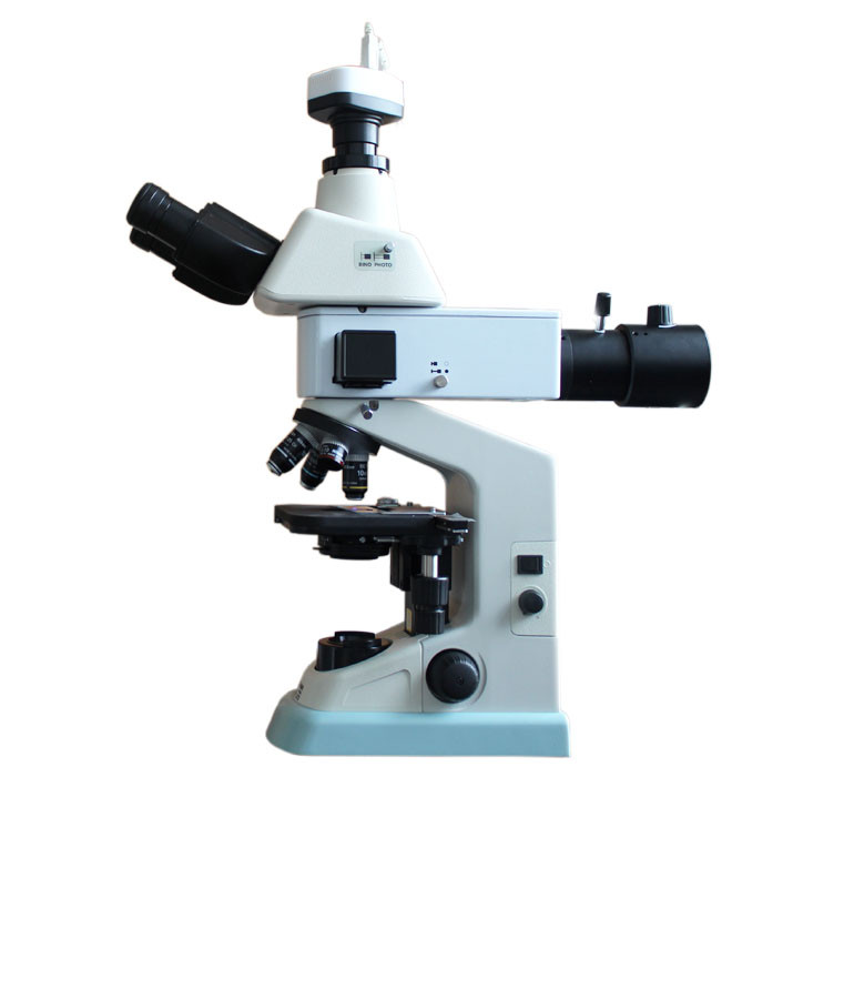 医用显微镜-荧光显微镜
